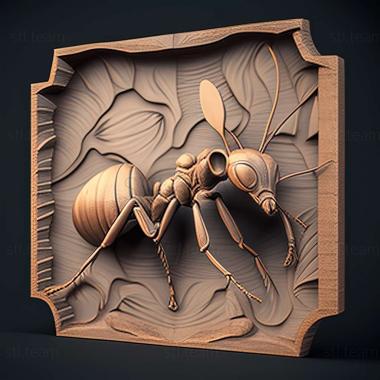 3D модель Camponotus baldaccii (STL)